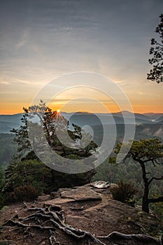 Landscape in the mountains, views of nature. Sunset, forest trees, meadow bushes. Horizon in winter, Key Rocks, Palatinate Forest