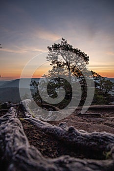 Landscape in the mountains, views of nature. Sunset, forest trees, meadow bushes. Horizon in winter, Key Rocks, Palatinate Forest