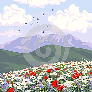 Landscape with Mountains and Wildflowers Field