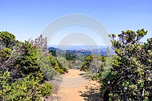 Landscape in Mt Tamalpais State Park;