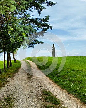 Landscape Mugello Florence Borgosanlorenzo Italy tuscany vicchio Green tree photo