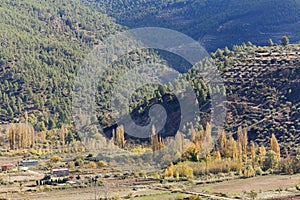 Landscape in the municipality of Bogarra photo
