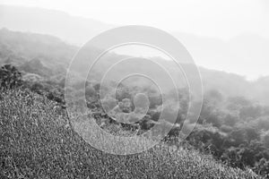 Landscape Mystic Nature in mountain area