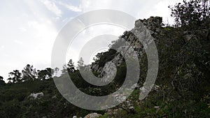 Landscape in Nahal (creek) Oren, at the west side of Mount Carmel