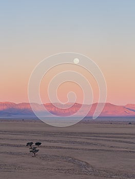 Landscape in Namib-Naukluft National Park, Namibia, Africa