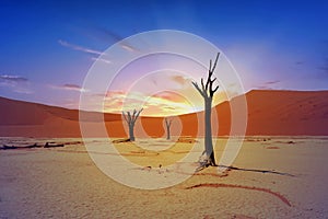 Landscape of Namib Naukluft National park at sunrise in Namibia