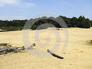 Landscape at Nationaal Park De Maasduinen