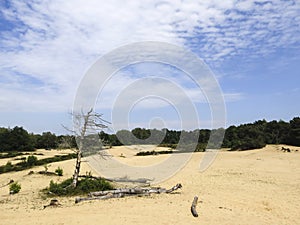 Landscape at Nationaal Park De Maasduinen