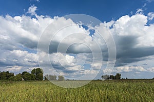 Landscape at Nationaal Park de Weerribben in summer