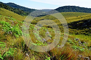 Landscape of National Park Horton Plains photo