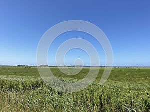 Landscape from National park lauwersmeer