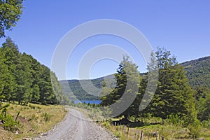 Landscape in the National Park Tolhuaca