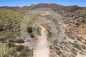 Landscape in Natural Park of Cabo de Gata - Nijar, Spain photo