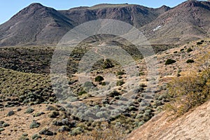 Landscape in Natural Park of Cabo de Gata - Nijar, Spain photo