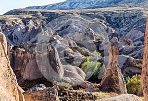 Landscape of natural rock formation Imagination or Devrent Valley, Cappadocia, Goreme, Turkey.