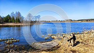 Landscape and nature with calm water of big lake, trees on the shore and blue sky on autumn or spring sunny day. Sun and