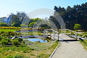 Landscape, nature, garden, spring, summer, lake, wooden bridge