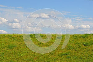 Landscape of nature with green grass and blue sky