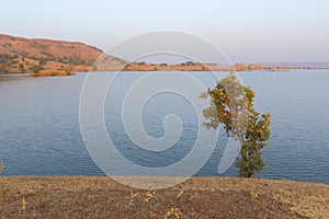 Landscape in nature, mahi back water, banswara, rajasthan, India