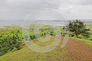 Landscape in nature, mahi back water, banswara, rajasthan, India