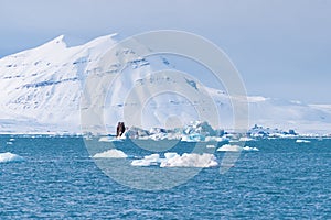 Landscape nature of the mountains of Spitsbergen Longyearbyen Svalbard arctic ocean winter polar day sunset