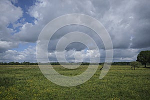 Landscape of nature park Drents Friese Wold n near Appelscha in Denthe The Netherlands