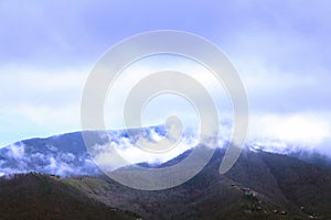 Landscape Nature Photography of the Great Smoky Mountains in the Early Morning with Heavy Fog