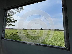 Landscape and nature rice field in Thailand