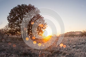 Landscape of nature in sunrise in late autumn