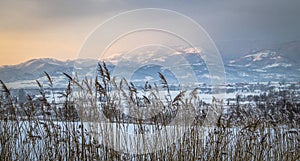 Landscape Nature from Transylvania