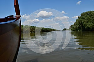 Landscape on a navigable canal surrounded by vegetation in the Danube Delta during a beautiful sunny day with blue sky. Cruising