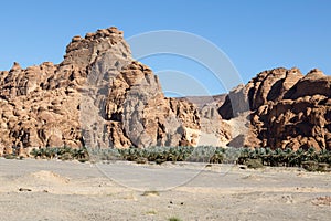 Landscape near Al Ula, Saudi Arabia with date palms