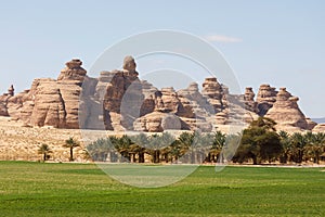 Landscape near Al Ula, Saudi Arabia with date palms photo