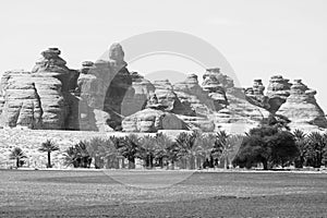 Landscape near Al Ula, Saudi Arabia with date palms