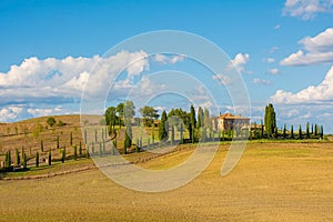 Landscape Near Bagno Vignoni