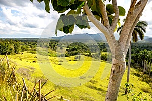 Landscape near Bahia Honda photo