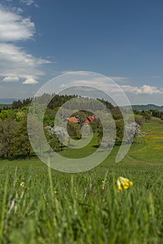 Landscape near Banska Stiavnica town in sping fresh color morning