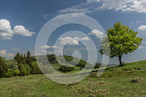 Landscape near Banska Stiavnica town in sping fresh color morning with tree