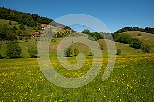 Landscape near Biberach the black forest