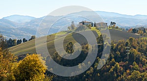 Landscape near Bologna: vineyards, fields, forest and houses on the hill. Bologna, Italy