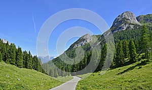 Landscape Near Cason di Lanza photo