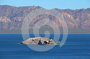 Loreto bays in the sea of baja california sur XXII photo