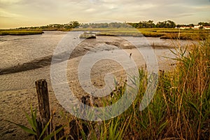 Landscape near Comporta, Portugal