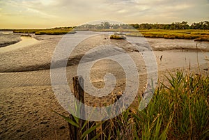 Landscape near Comporta, Portugal