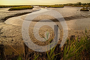 Landscape near Comporta, Portugal