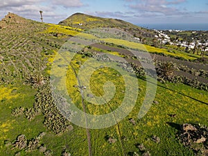 Landscape near Haria at Lanzarote on Canary island, Spain