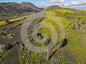 Landscape near Haria at Lanzarote on Canary island, Spain