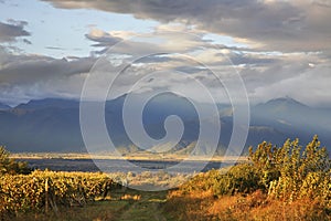 Landscape near Ikalto (Iqalto). Kakheti. Georgia