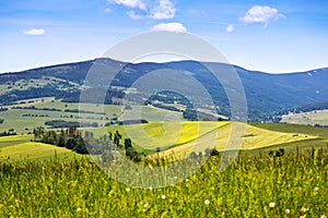 Landscape, near Kraliky town, East Bohemia, Czech republic