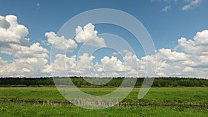 Landscape near Kruchik, Ukraine